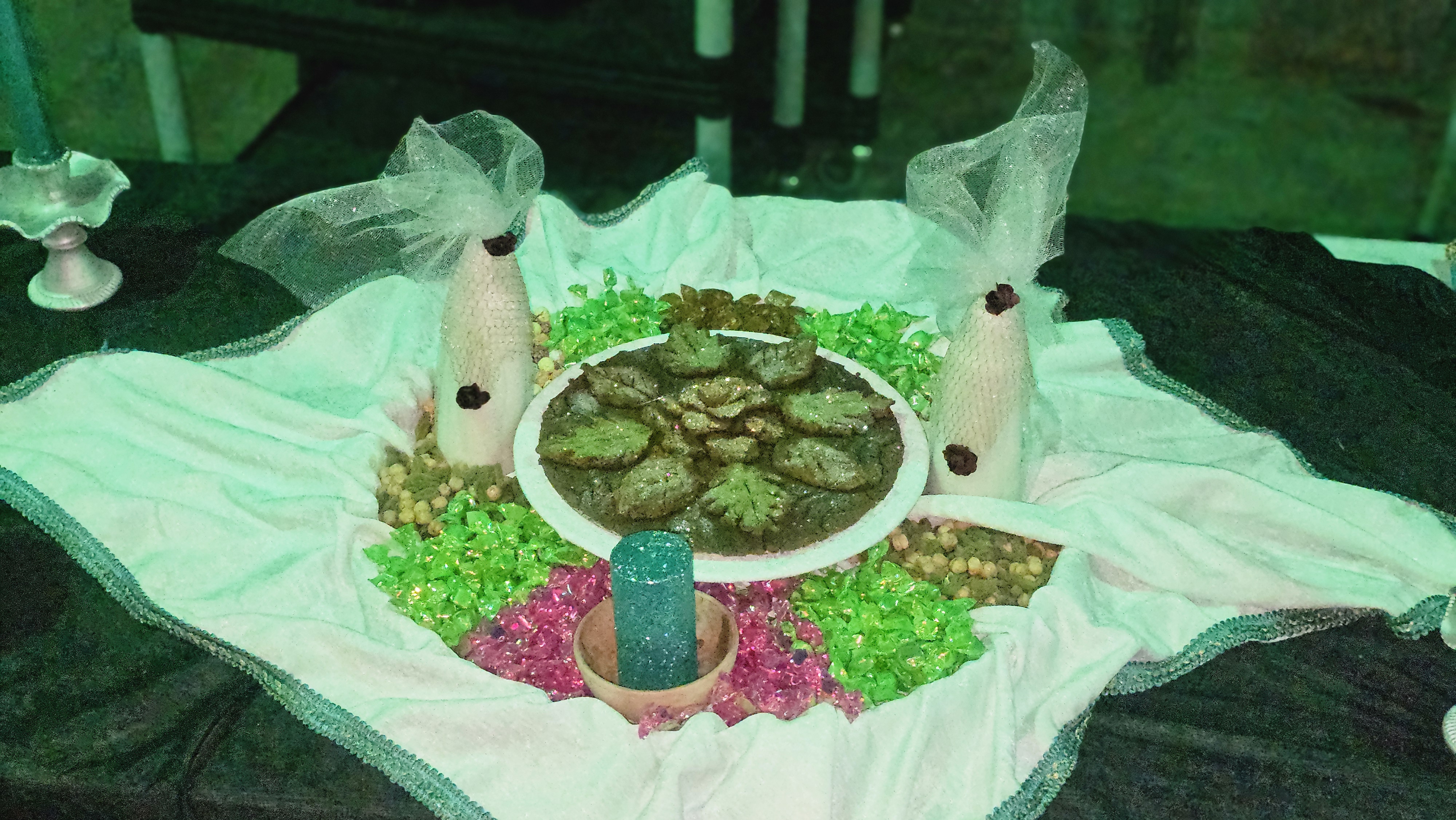 موکب شباب الحسین